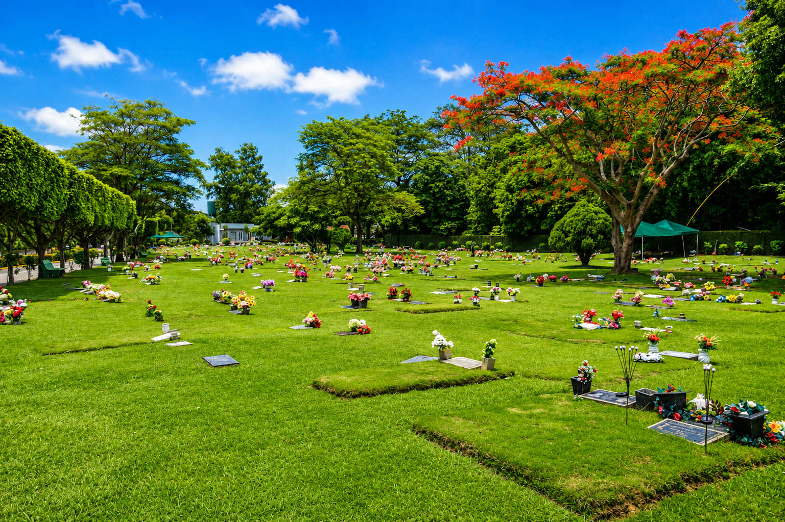 JARDÍN FAMILIAR